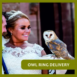 Barn Owl Ring Bearer | Shropshire Falconry