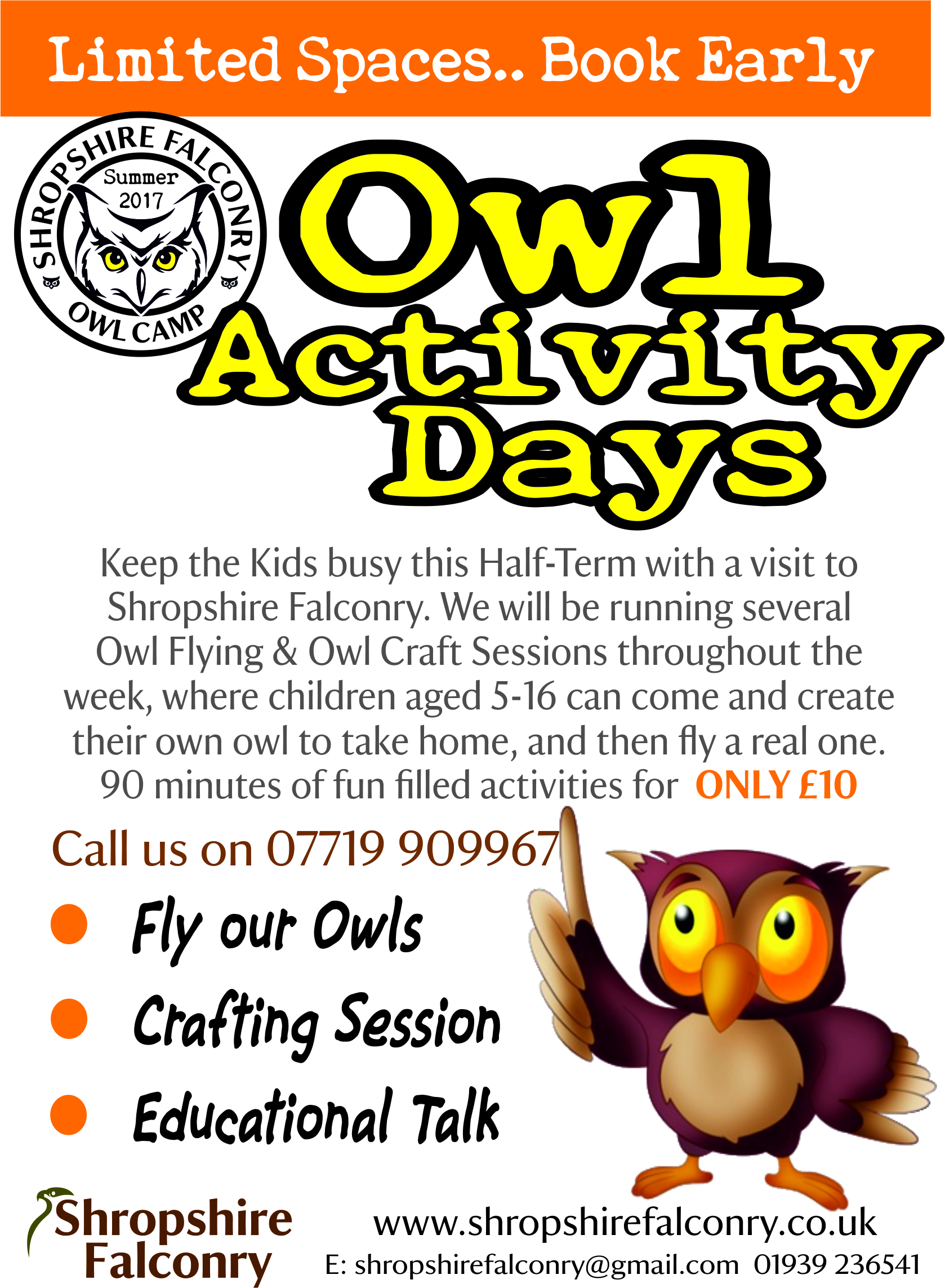 Owl Events for Half Term
