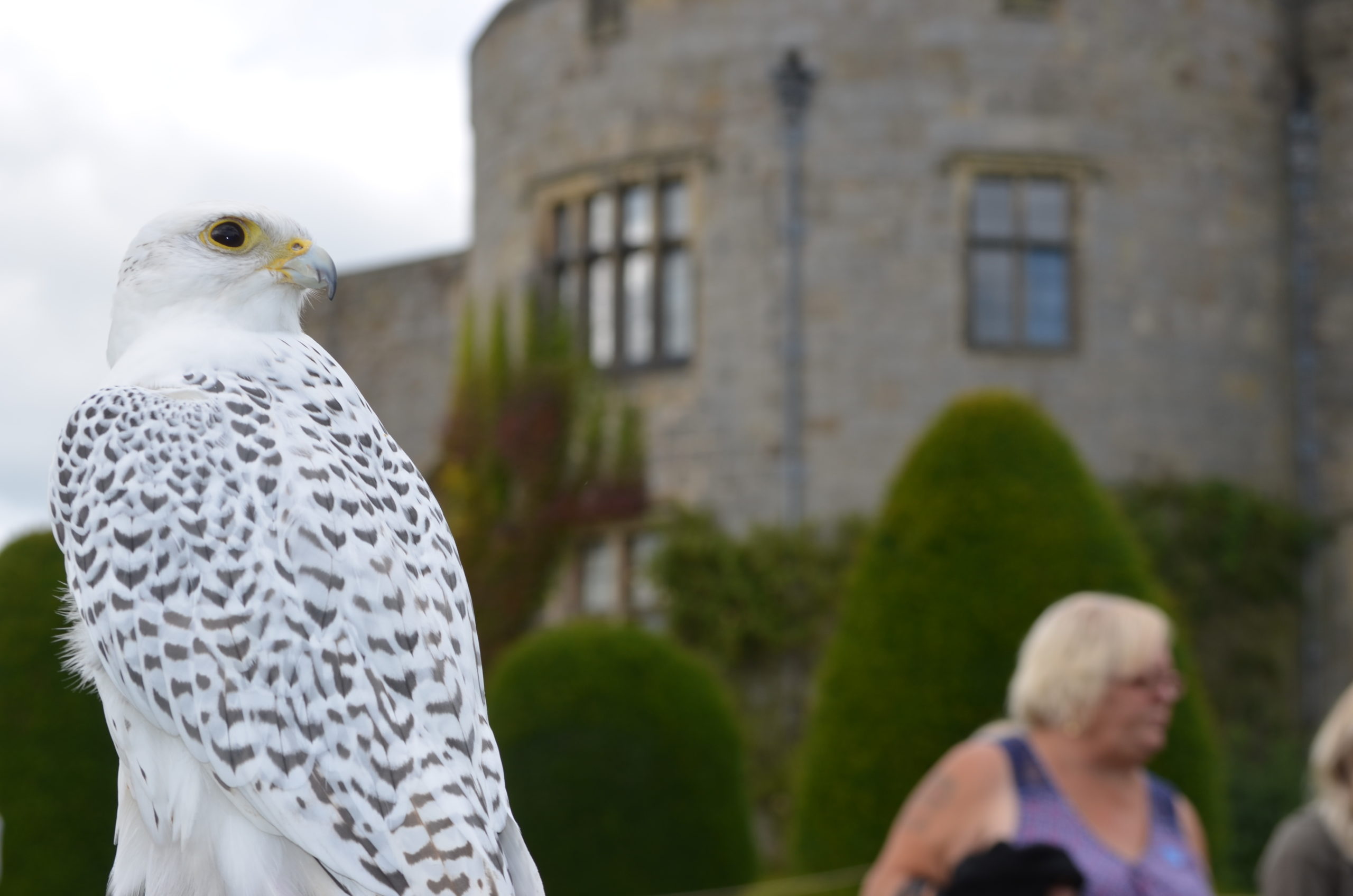 We will be at Chirk castle for the 3 weekends up to xmas
