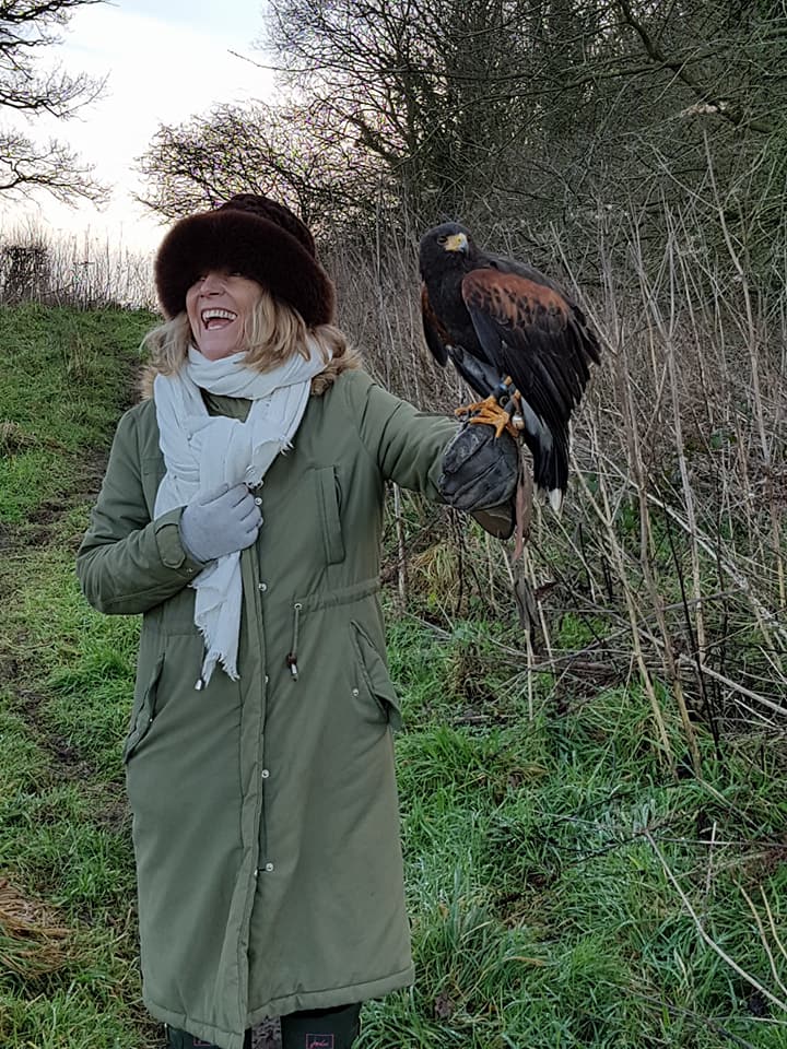 Hawk Walks